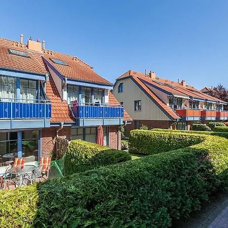 Papillon 02-2 Boltenhagen (Ostseebad)