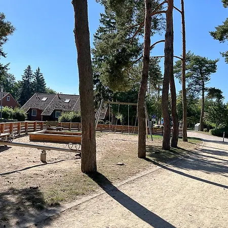 Papillon 02-2 Boltenhagen (Ostseebad)