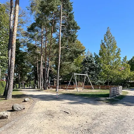 Papillon 02-2 Boltenhagen (Ostseebad)